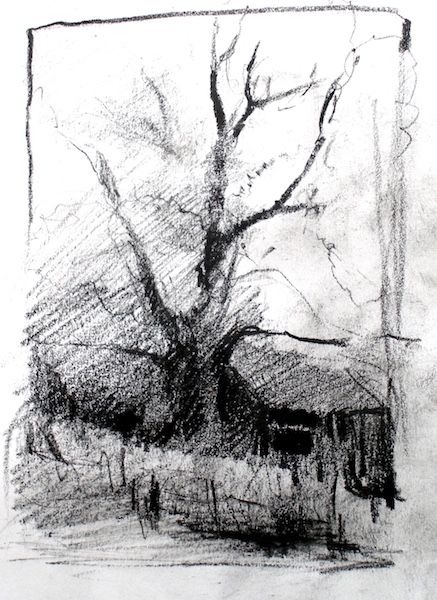 TREE WITH DILAPIDATED BARN charcoal study on paper by David Stier - 9 x 6.5 in. • SOLD