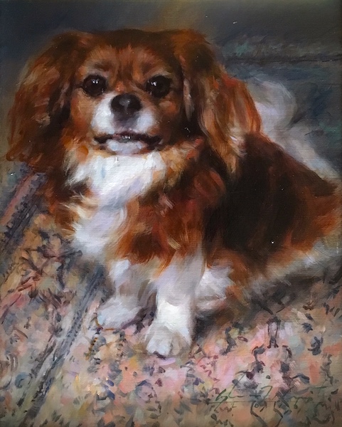 Ask about having a Harrington portrait of your favorite pet! KING CHARLES SPANIEL by Glenn Harrington - 10 x 8 in., $3,500