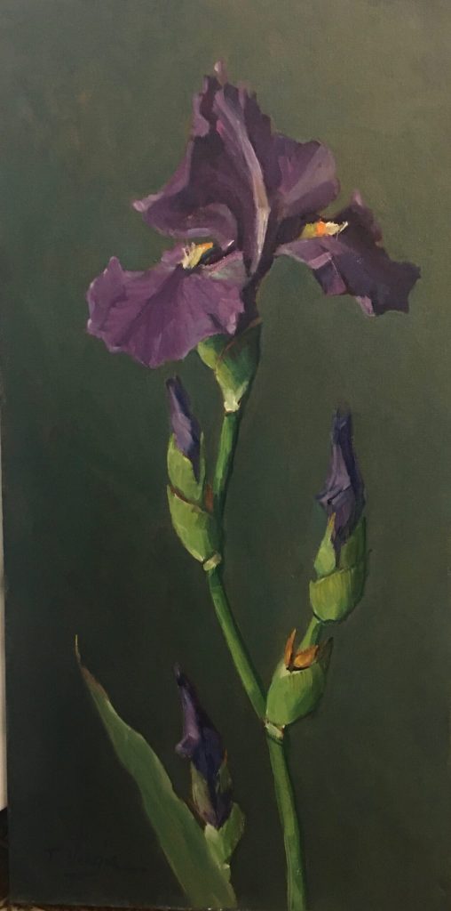 Shown at the 2021 Bucks County Designer House:  IRIS No. 5 by Trisha Vergis - 24 x 12 in., o/c • $2,400