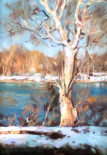SYCAMORE AT THE BLACK BASS by Glenn Harrington - 7 x 5 in., oil on linen on board • SOLD