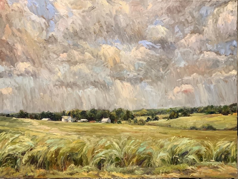 From her 2021 Solo Exhibition, THE SPACE BETWEEN:  BILLOWING FIELDS, BUCKS COUNTY by Jennifer Hansen Rolli - 36 x 48 in., oil on linen • SOLD