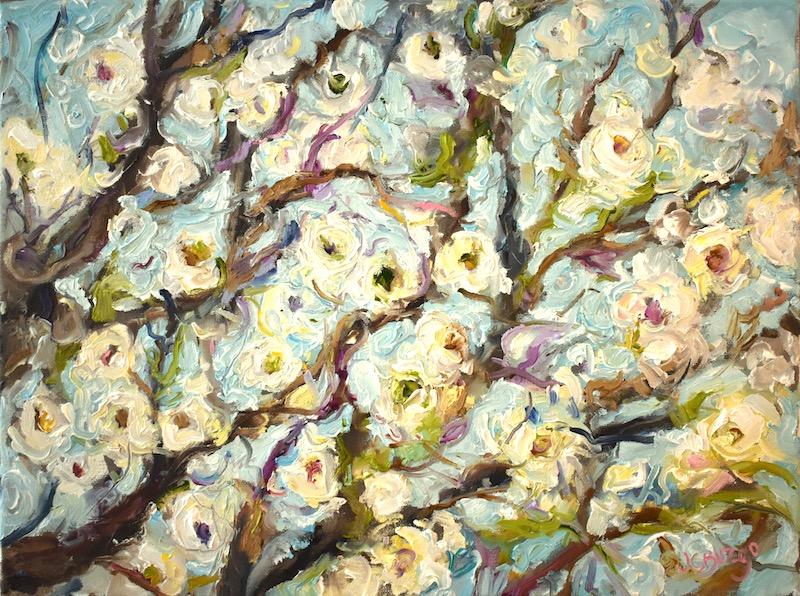 New for her 2021 Solo Exhibition, Vibrance:  WHITE BLOSSOMS II by Jean Childs Buzgo - 12 x 16 in., o/c • $1,800