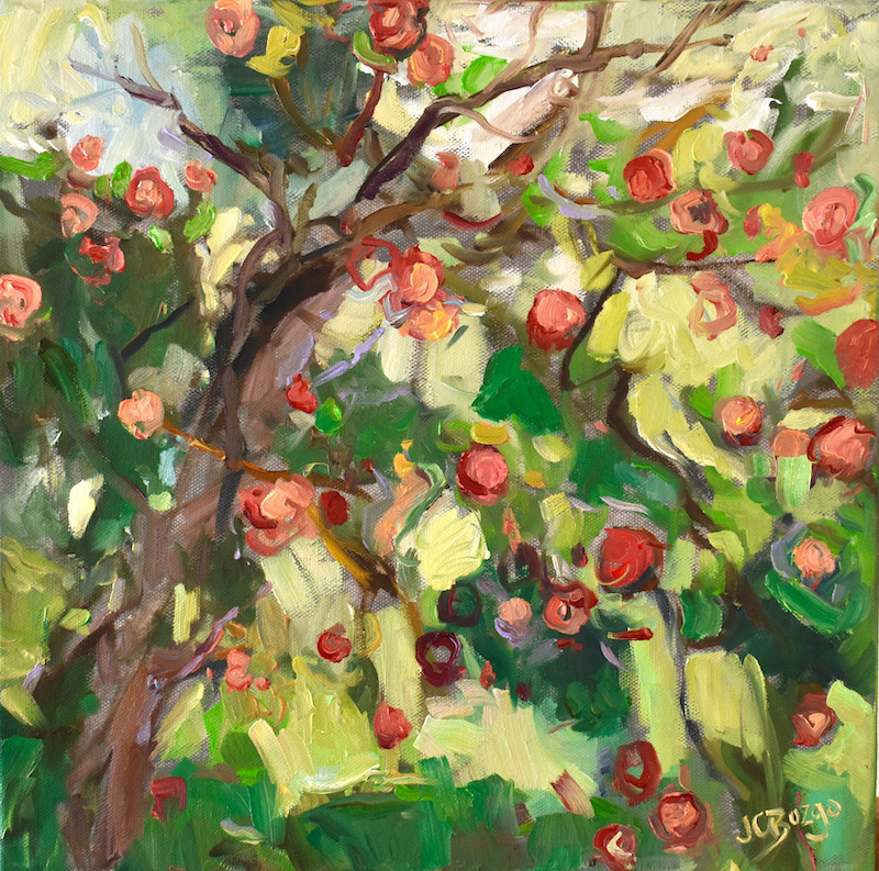 THE APPLE TREE by Jean Childs Buzgo - 12 inches square, oil on canvas, in custom David Madary frame • $1,600