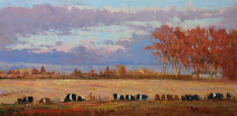 EVENING, BELTED GALLOWAYS by Jim Rodgers - 12 x 24 inches, oil on board • $3,700