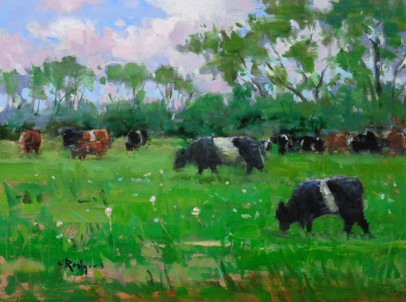 GRAZING GALLOWAYS by Jim Rodgers - 12 x 16 inches, oil on board • SOLD