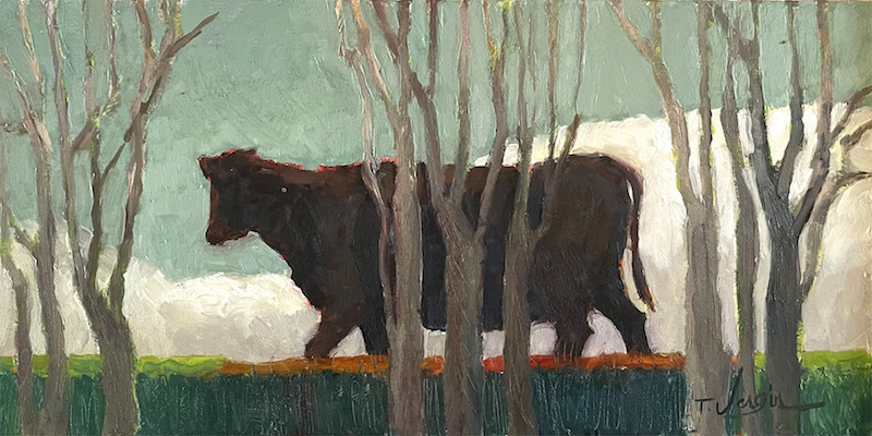 ANGUS V by Trisha Vergis - 7 x 14 inches, oil on board • $1,700