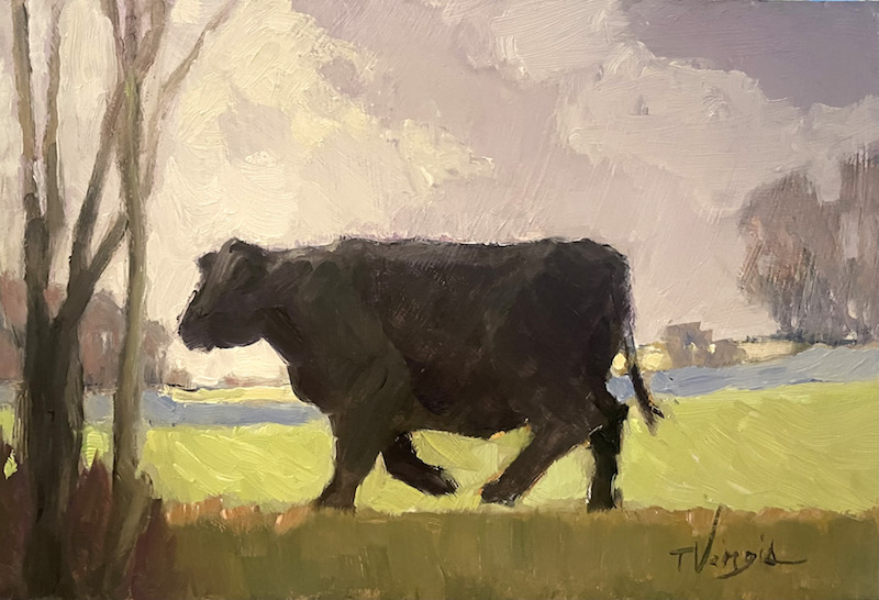 ANGUS  by Trisha Vergis - 6 x 9 inches, oil on board • SOLD