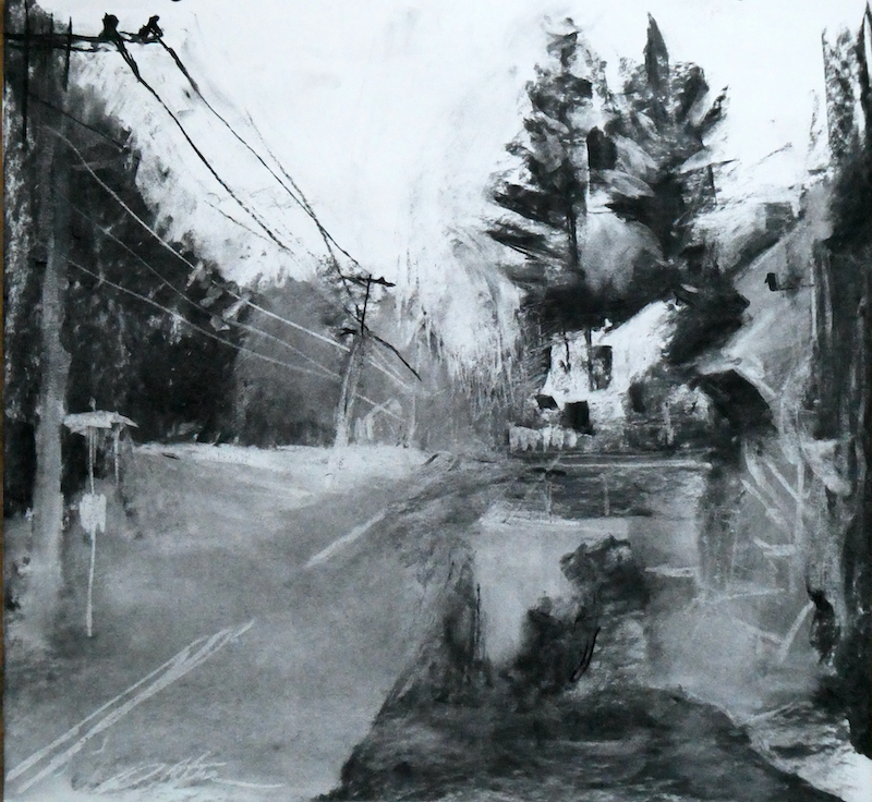 EARLY EVENING, CARVERSVILLE ROAD by David Stier - 17 x 18 inches, charcoal on paper
